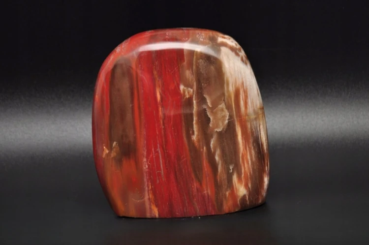 * SKAMIENIAŁE DREWNO MADAGASKAR DOSKONAŁY MINERAŁ DO DEKORACJI NR 8 *