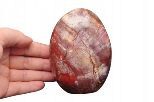 * SKAMIENIAŁE DREWNO MADAGASKAR STOJĄCY KAMIEŃ WYJĄTKOWY WZÓR NR 7 *