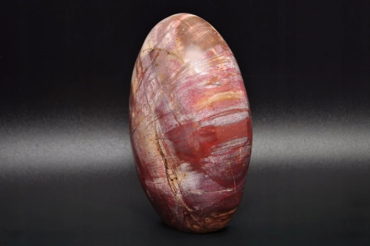 * SKAMIENIAŁE DREWNO MADAGASKAR STOJĄCY KAMIEŃ WYJĄTKOWY WZÓR NR 7 *