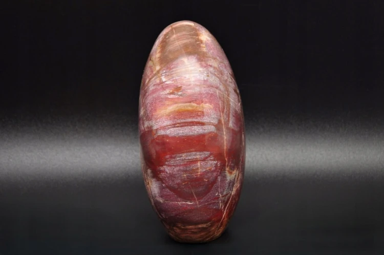 * SKAMIENIAŁE DREWNO MADAGASKAR STOJĄCY KAMIEŃ WYJĄTKOWY WZÓR NR 7 *