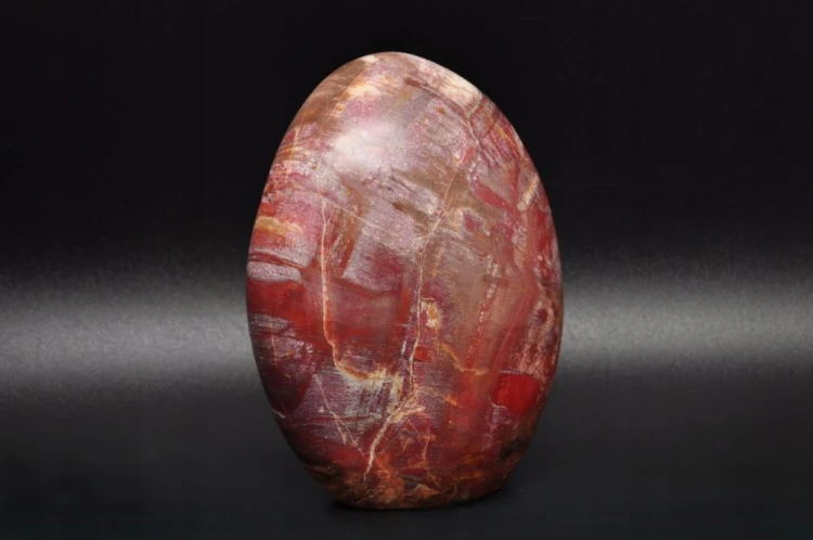 * SKAMIENIAŁE DREWNO MADAGASKAR STOJĄCY KAMIEŃ WYJĄTKOWY WZÓR NR 7 *