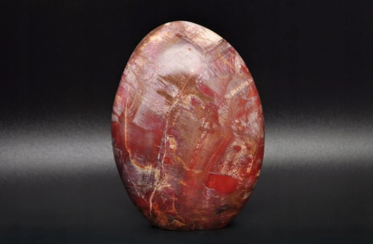 * SKAMIENIAŁE DREWNO MADAGASKAR STOJĄCY KAMIEŃ WYJĄTKOWY WZÓR NR 7 *