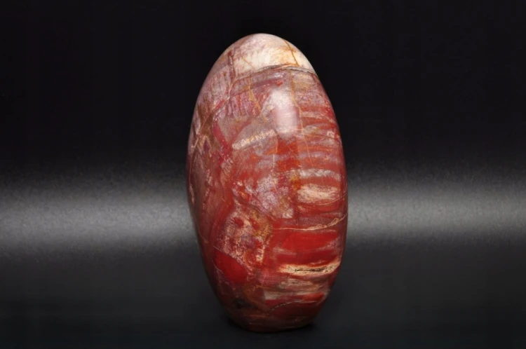 * SKAMIENIAŁE DREWNO MADAGASKAR STOJĄCY KAMIEŃ WYJĄTKOWY WZÓR NR 7 *