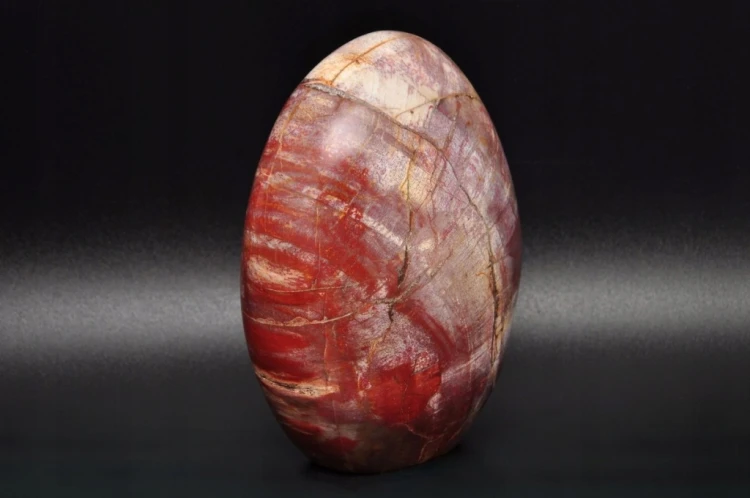 * SKAMIENIAŁE DREWNO MADAGASKAR STOJĄCY KAMIEŃ WYJĄTKOWY WZÓR NR 7 *