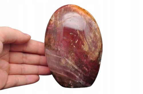 * SKAMIENIAŁE DREWNO MADAGASKAR CIEKAWY BRĄZOWY KOLOR ŚLICZNY POLER NR 6 *