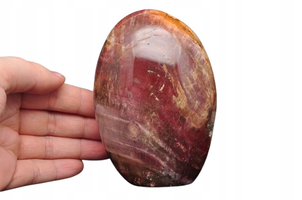 * SKAMIENIAŁE DREWNO MADAGASKAR CIEKAWY BRĄZOWY KOLOR ŚLICZNY POLER NR 6 *