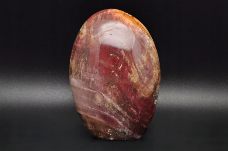 * SKAMIENIAŁE DREWNO MADAGASKAR CIEKAWY BRĄZOWY KOLOR ŚLICZNY POLER NR 6 *