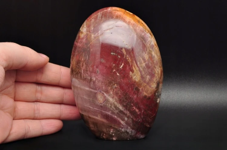 * SKAMIENIAŁE DREWNO MADAGASKAR CIEKAWY BRĄZOWY KOLOR ŚLICZNY POLER NR 6 *