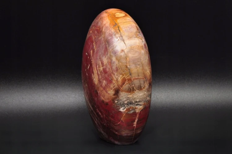 * SKAMIENIAŁE DREWNO MADAGASKAR CIEKAWY BRĄZOWY KOLOR ŚLICZNY POLER NR 6 *