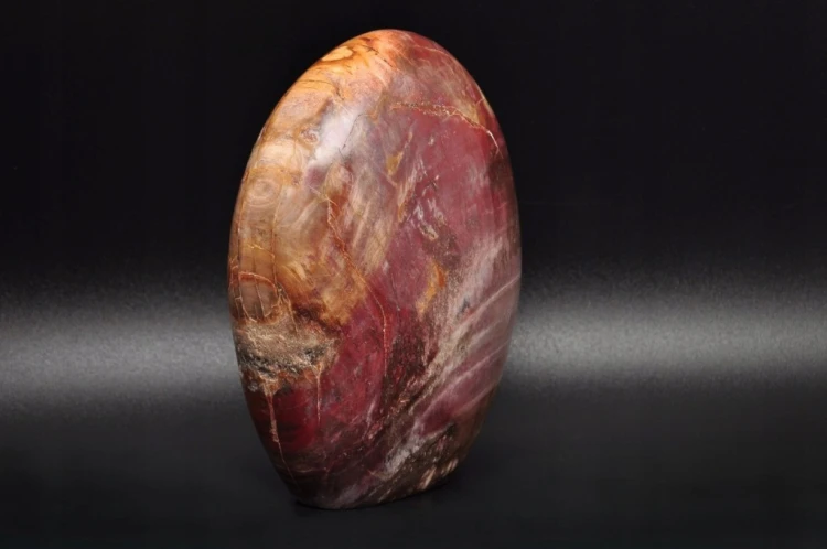 * SKAMIENIAŁE DREWNO MADAGASKAR CIEKAWY BRĄZOWY KOLOR ŚLICZNY POLER NR 6 *