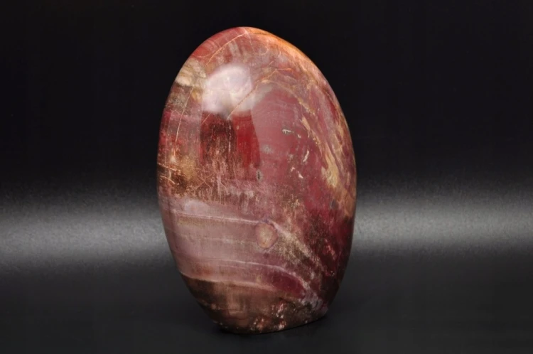 * SKAMIENIAŁE DREWNO MADAGASKAR CIEKAWY BRĄZOWY KOLOR ŚLICZNY POLER NR 6 *