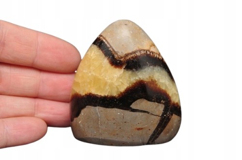 * SEPTARIA MADAGASKAR MAŁY STOJĄCY OKAZ NIEREGULARNY WZÓR NR 7 *