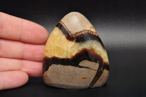 * SEPTARIA MADAGASKAR MAŁY STOJĄCY OKAZ NIEREGULARNY WZÓR NR 7 *