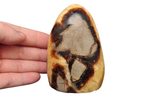 * SEPTARIA MADAGASKAR NATURALNY MINERAŁ ATRAKCYJNY WZÓR NR 5 *