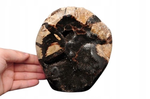 * SEPTARIA MADAGASKAR STOJĄCY KAMIEŃ PIĘKNE CZARNE KRYSZTAŁY NR 1 *