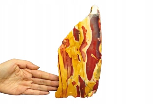* JASPIS MOOKAIT AUSTRALIA POLEROWANY JEDNOSTRONNIE DUŻY OKAZ 1,9 KG NR 1 *