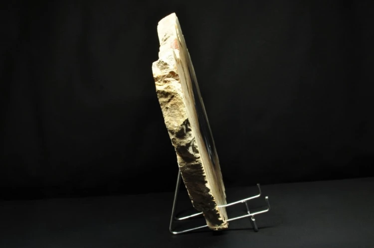 * SKAMIENIAŁE DREWNO PLASTER INDONEZJA DUŻY OKAZ DOSKONAŁY DO KOLEKCJI 3 *
