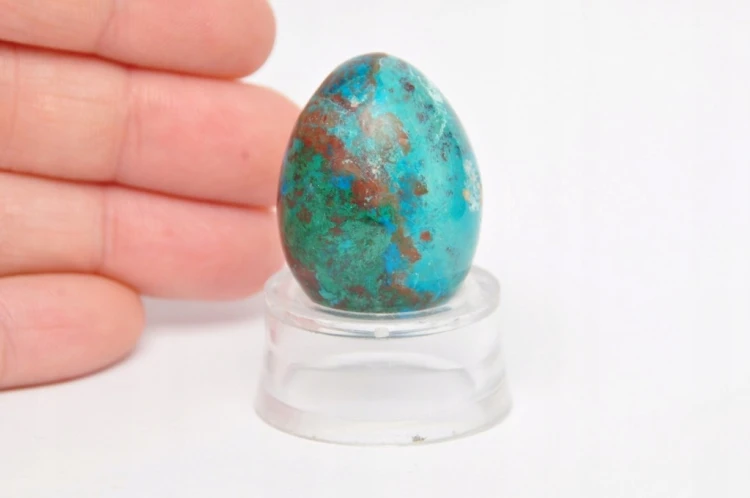 * CHRYZOKOLA PERU JAJKO INTENSYWNY KOLOR MINERAŁ DO KOLEKCJI NR EGG65 *