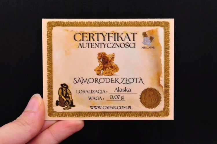 * SAMORODEK ZŁOTA ALASKA UROKLIWY NATURALNY MINERAŁ NR 6 *