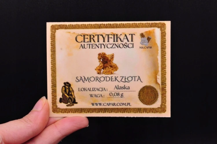 * SAMORODEK ZŁOTA ALASKA ŚLICZNY OKAZ Z CERTYFIKATEM NR 7 *