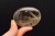 * KWARC DYMNY MADAGASKAR UROKLIWY JASNY OKAZ PALM STONE NR GKD07 *