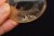 * KWARC DYMNY MADAGASKAR UROKLIWY JASNY OKAZ PALM STONE NR GKD07 *