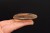 * KWARC DYMNY MADAGASKAR UROKLIWY JASNY OKAZ PALM STONE NR GKD07 *