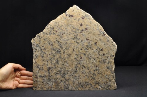 * GRANAT SKANDYNAWIA BARDZO DUŻA PŁYTA BEŻOWY KOLOR MINERAŁ NR 1 *