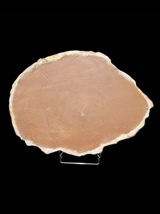 * SKAMIENIAŁE DREWNO MADAGASKAR BARDZO DUŻY OKAZ PLASTER DO KOLEKCJI *