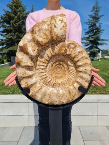 * AMONIT MADAGASKAR WIELKI OKAZ KOLEKCJONERSKI + METALOWA PODSTAWA 18,5 KG
