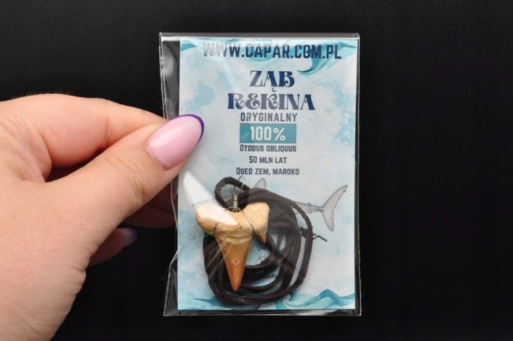 * ZĄB REKINA MAROKO ZAWIESZKA DLA WYJĄTKOWEJ OSOBY SKAMIENIAŁOŚĆ NR 1 *