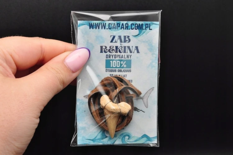 * ZĄB REKINA MAROKO UROCZA ZAWIESZKA BRĄZOWY RZEMYK SUROWA BIŻUTERIA NR 12