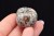 * JUPERLIT YOOPERLITE USA BĘBNOWANY KAMIEŃ ŚWIECI W UV POLEROWANY OKAZ NR 8