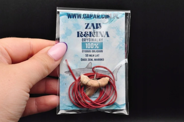 * ZĄB REKINA MAROKO ZAWIESZKA ORYGINALNA BIŻUTERIA NA CO DZIEŃ NR 16 *
