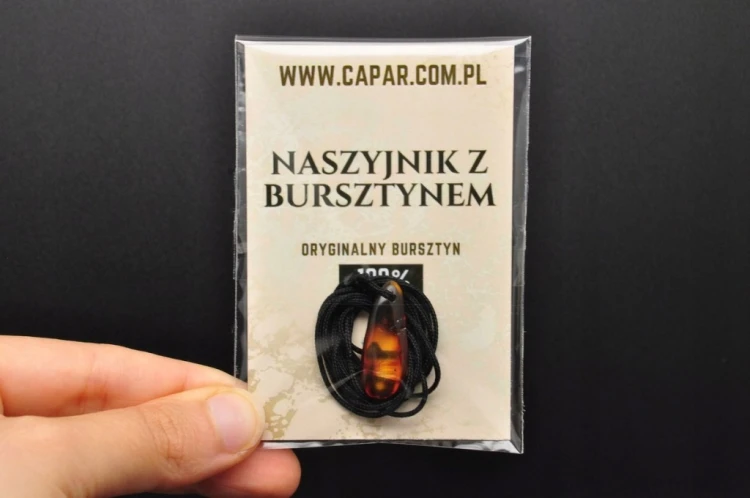 * BURSZTYN BAŁTYCKI POLSKA UROKLIWA ZAWIESZKA NA SZNURKU NASZYJNIK NR 11 *