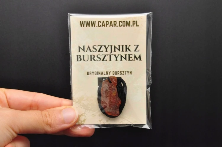 * BURSZTYN BAŁTYCKI POLSKA SUROWY MINERAŁ ZAWIESZKA NA SZNURKU NR 6 *