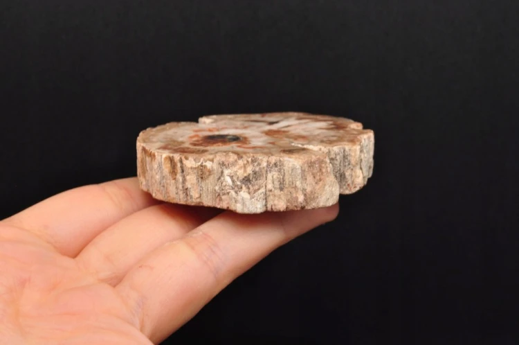 * SKAMIENIAŁE DREWNO UROKLIWY MAŁY PLASTER CIEKAWY WZÓR NR 2 *