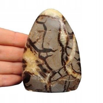* SEPTARIA MADAGASKAR ŚLICZNY KAMIEŃ INTERESUJĄCY WZÓR NR 1 *