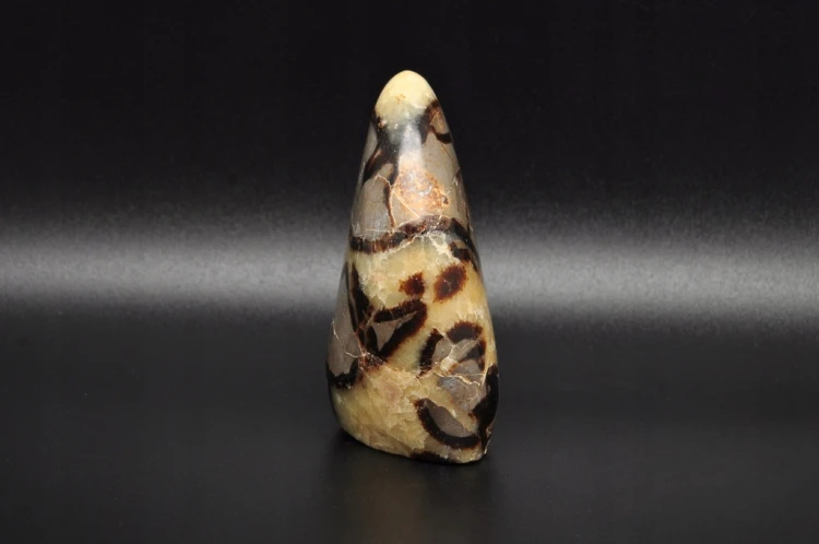 * SEPTARIA MADAGASKAR ŚLICZNY KAMIEŃ INTERESUJĄCY WZÓR NR 1 *