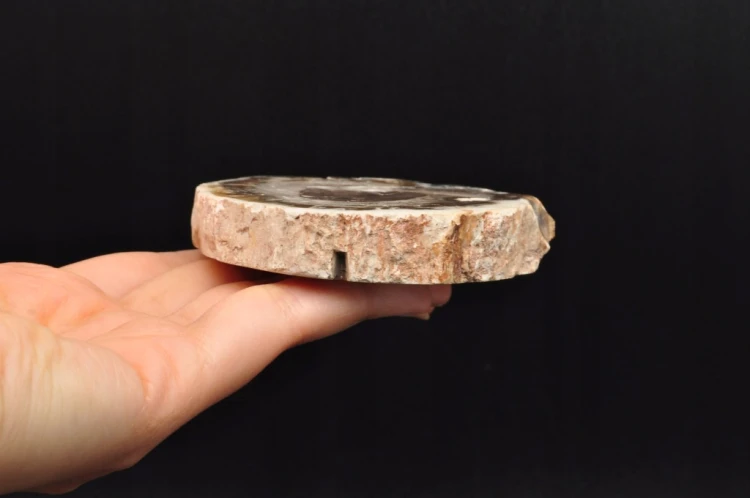 * SKAMIENIAŁE DREWNO MADAGASKAR ELEGANCKI PLASTER PIĘKNA DEKORACJA NR 17 *