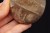 * KWARC DYMNY MADAGASKAR PIĘKNY DUŻY KAMIEŃ PALM STONE NR GKD01 *