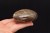* KWARC DYMNY MADAGASKAR PIĘKNY DUŻY KAMIEŃ PALM STONE NR GKD01 *