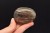 * KWARC DYMNY MADAGASKAR INTERESUJĄCY OKAZ PALM STONE NR GKD03 *