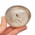 * KWARC DYMNY MADAGASKAR PALM STONE ZACHWYCAJĄCY OKAZ Z TĘCZĄ NR GKD08 *