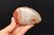 * AGAT SARDONYKS SARDONYX PALM STONE INTERESUJĄCY KAMIEŃ NR GAT05 *