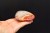 * AGAT SARDONYKS SARDONYX PALM STONE INTERESUJĄCY KAMIEŃ NR GAT05 *