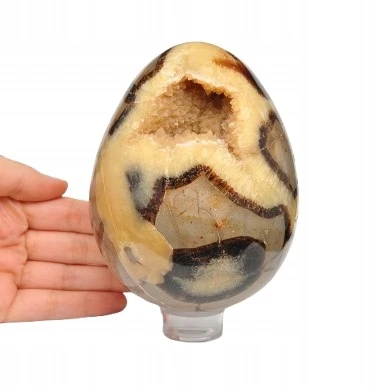 * SEPTARIA MADAGASKAR WYJĄTKOWE DUŻE JAJKO Z GEODĄ NATURALNY OKAZ NR 1 *