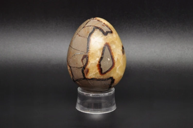* SEPTARIA MADAGASKAR JAJKO ŚLICZNY OKAZ DOSKONAŁY NA PREZENT NR EGG46 *
