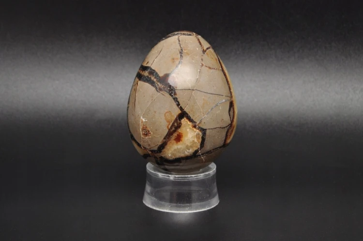 * SEPTARIA MADAGASKAR JAJKO ŚLICZNY OKAZ DOSKONAŁY NA PREZENT NR EGG46 *