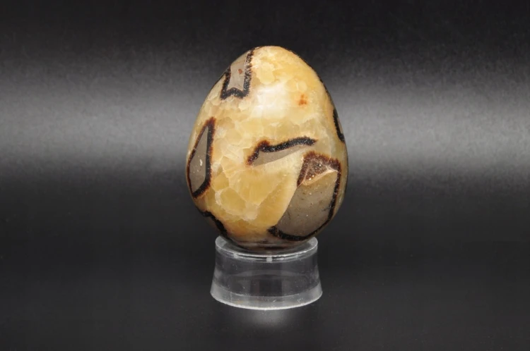 * SEPTARIA MADAGASKAR JAJKO ŚLICZNY OKAZ DOSKONAŁY NA PREZENT NR EGG46 *